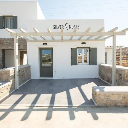 Silvair Iii By Silvernoses, Mykonos Holiday home